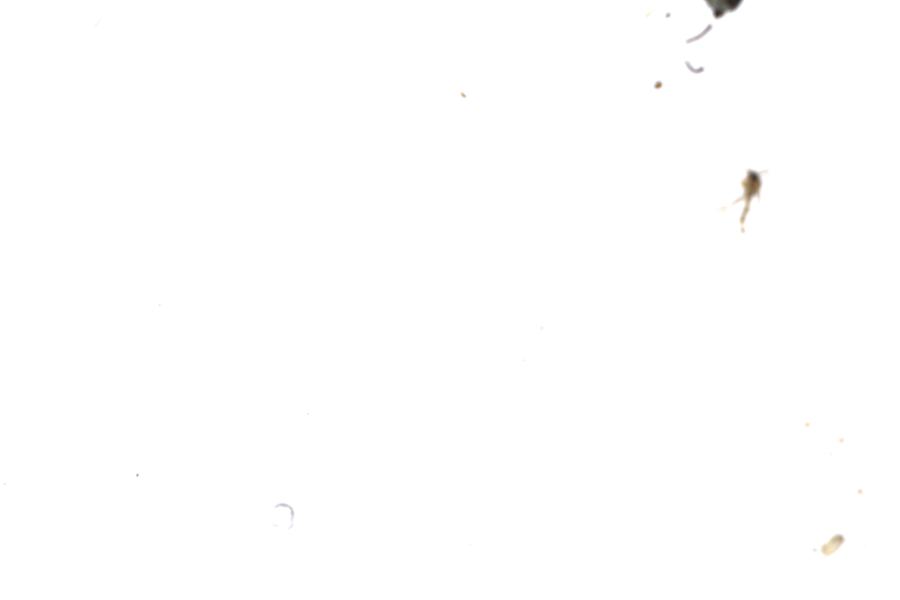 Image 29